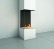 3 Sided Gas Fireplace New Modern Fireplace Designs