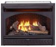 36 Inch Gas Fireplace Insert Fresh Gas Fireplace Inserts Fireplace Inserts the Home Depot