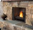 36 Inch Gas Fireplace Insert Fresh Outdoor Lifestyles Courtyard Gas Fireplace