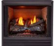 36 Inch Gas Fireplace Insert Inspirational Gas Fireplace Inserts Fireplace Inserts the Home Depot