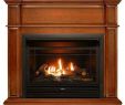 60 Inch Linear Gas Fireplace Elegant 42 In Full Size Ventless Dual Fuel Fireplace In Apple Spice with thermostat Control