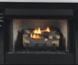 60 Inch Linear Gas Fireplace Inspirational Fireplaces & More Vent Free