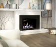 Ambiance Fireplace New Ambiance Inspiration 29 Contemporary Gas Fireplace Living