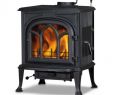 Arched Fireplace Screens Elegant Kaminofen Globe Fire Mercury 7 Kw