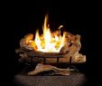 Artificial Logs for Gas Fireplace Luxury American Elm 24 In Vent Free Propane Gas Fireplace Logs