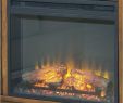 Aspen Fireplace Elegant W100 01 ashley Furniture Entertainment Accessories Black Fireplace Insert