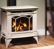 B Vent Fireplace Best Of Shown with Enamel Seaside Sand Finish