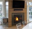 B Vent Fireplace Luxury 36" Pearl Ii Designer Peninsula Direct Vent Gas Fireplace W