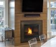 B Vent Fireplace Luxury 36" Pearl Ii Designer Peninsula Direct Vent Gas Fireplace W