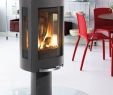 B Vent Fireplace Luxury Interesting Free Standing Gas Fireplace