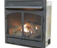 B Vent Gas Fireplace Best Of Gas Fireplace Inserts Fireplace Inserts the Home Depot