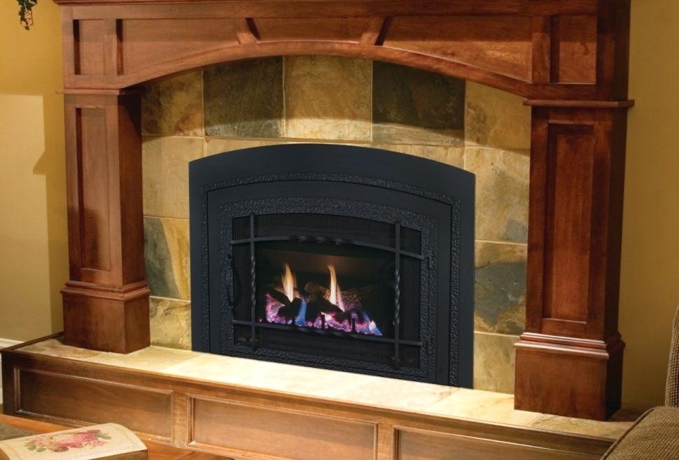 B Vent Gas Fireplace Lovely Types Gas Fireplaces Indoor Different Fireplace Insert