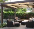 Backyard Pavilion with Fireplace New 57 Schön Garden Canopy