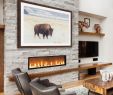 Bellevue Fireplace Unique Curious Beast Graphic Print In 2019