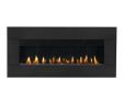 Best Direct Vent Gas Fireplace New Napoleon Plazmafire 48 Direct Vent Fireplace