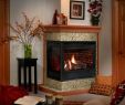 Best Fireplace Insert Inspirational Lovely soapstone Fireplace Insert soapstone Fireplace