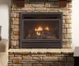 Best Fireplace Screens Awesome Unique Brick Chiminea