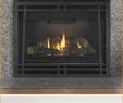 Best Gas Fireplace Brands Luxury 14 Best Fireplace Facelifts Images