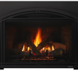 Best Gas Fireplace Insert Reviews Luxury Escape Gas Fireplace Insert