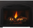 Best Gas Fireplace Insert Reviews Luxury Escape Gas Fireplace Insert