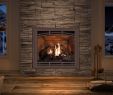 Best Gas Fireplace Inserts 2015 Lovely Ambiance Fireplaces and Grills