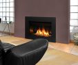 Best Gas Fireplace Inserts 2015 Luxury Fireplaces Stoves & Inserts Archives Energy House