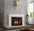 Best Gas Fireplace Inserts 2015 New Ambiance Fireplaces and Grills