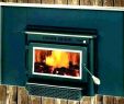 Best Gas Fireplace Inserts Best Of Buck Fireplace Insert – Petgeek