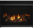 Best Gas Fireplace Inserts Lovely Escape Gas Fireplace Insert