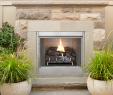 Best Gas Fireplace Inserts Lovely Vre4200 Gas Fireplaces