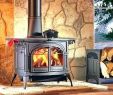 Best Gas Fireplace Logs Unique Types Outdoor Gas Fireplaces Log Vented Heaters that Look