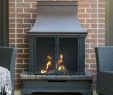 Best Gas Fireplace Lovely the Best Outdoor Propane Gas Fireplace Re Mended for