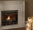 Best Gas Fireplace Manufacturers Lovely Venting What Type Do You Need
