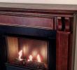 Best Gas Fireplace New 5 Best Gel Fireplaces Reviews Of 2019 Bestadvisor