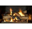 Best Gas Logs for Existing Fireplace Best Of Emberglow Remote Controlled Safety Pilot Kit for Vented Gas