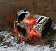 Best Way to Dispose Of Fireplace ashes Lovely Posting ashes is ash Good for Post
