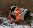 Best Way to Dispose Of Fireplace ashes Lovely Posting ashes is ash Good for Post