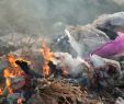 Best Way to Dispose Of Fireplace ashes Luxury Burning Plastic Waste Harmful to Health Health the