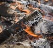 Best Way to Dispose Of Fireplace ashes New is Wood ash Good for Garden soil
