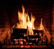 Best Way to Dispose Of Fireplace ashes New You Should Not Use A Regular Vacuum to Clean ash