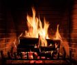 Best Way to Dispose Of Fireplace ashes New You Should Not Use A Regular Vacuum to Clean ash
