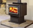 Best Wood Burning Fireplace Awesome Wood Burning Stove Vs Pellet Stove Gaithersburg Md