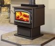 Best Wood Fireplace Insert Beautiful Wood Burning Stove Vs Pellet Stove Gaithersburg Md