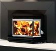 Best Wood Fireplace Insert Best Of Mobile Home Wood Burning Fireplace – Pagefusion