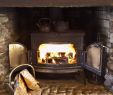 Best Wood Fireplace Insert Best Of Wood Heat Vs Pellet Stoves