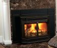 Best Wood Fireplace Insert Lovely Cast Iron Wood Stove Insert – Constatic