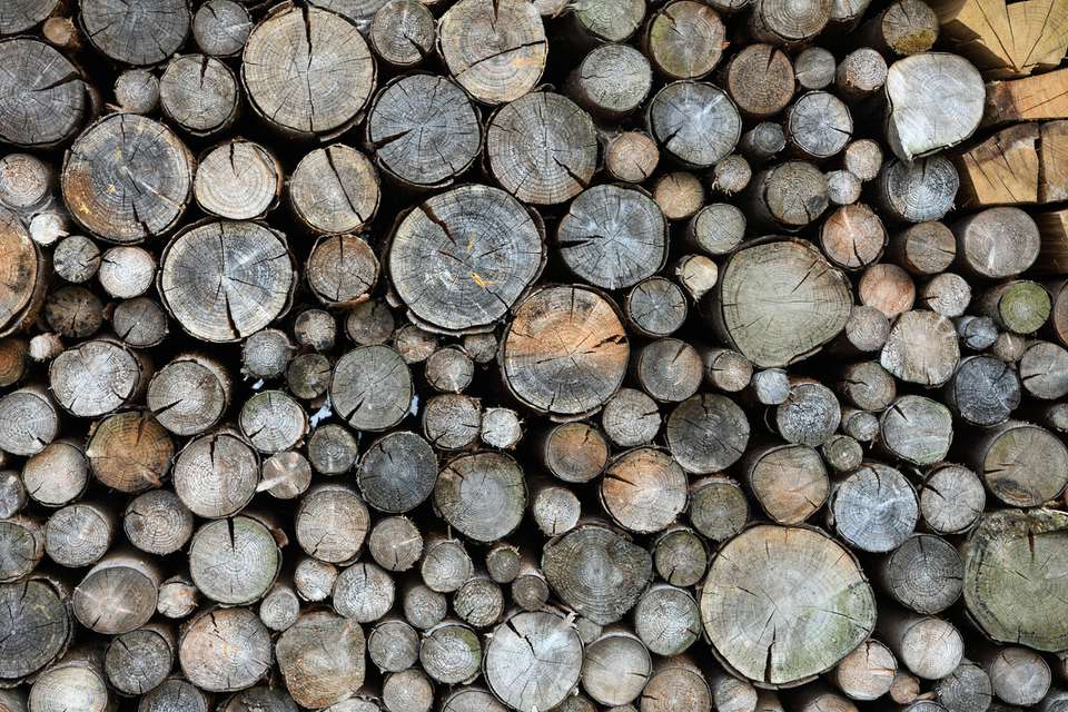 Best Wood to Burn In Fireplace Awesome the Best Firewood for Your Wood Stove or Fireplace