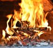Best Wood to Burn In Fireplace Beautiful Best Wood for Pizza Oven 5 5 Most Popular Firewood Types In