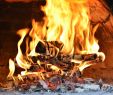 Best Wood to Burn In Fireplace Beautiful Best Wood for Pizza Oven 5 5 Most Popular Firewood Types In