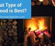 Best Wood to Burn In Fireplace Luxury Types Firewood – A Simple Guide to Burning the Right Fuel
